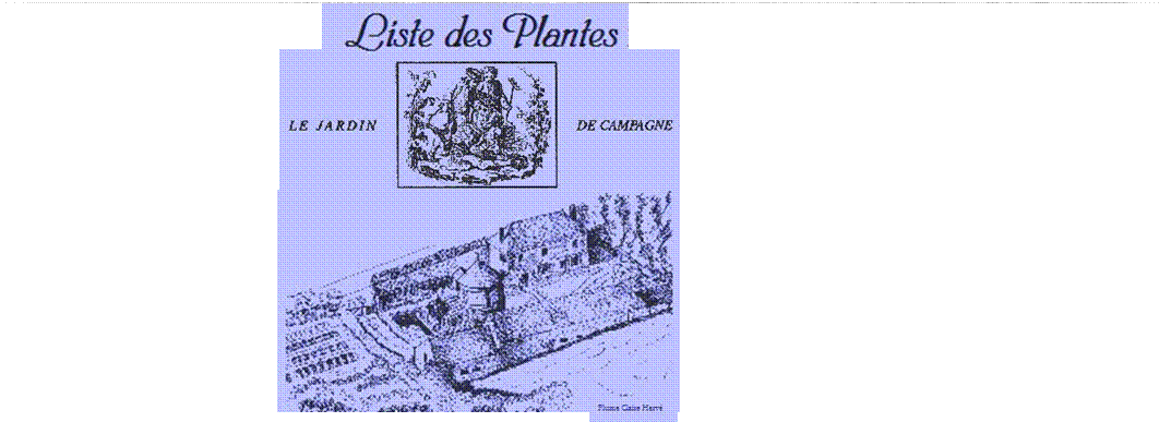 PLUME,entete,plumeclaire,titre,claireherve